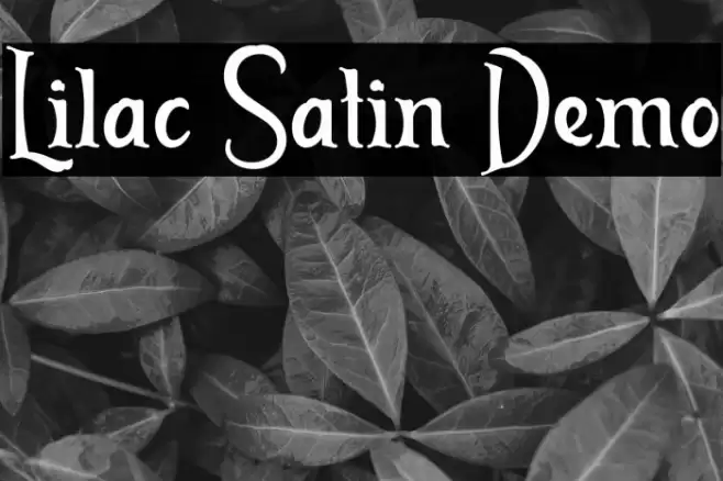 Lilac Satin Demo Font examples