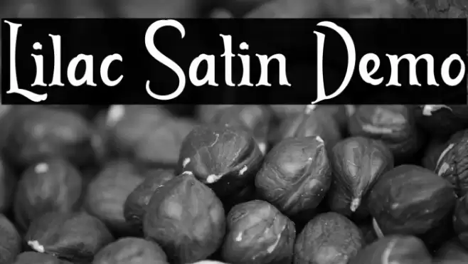 Lilac Satin Demo Font examples
