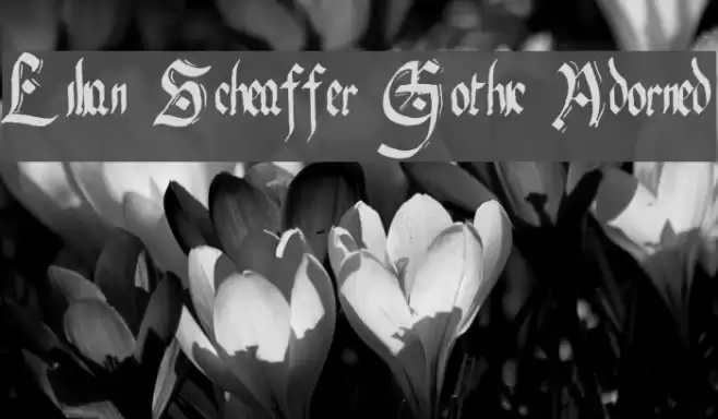 Lilian Scheaffer Gothic Adorned Font examples