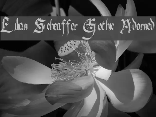 Lilian Scheaffer Gothic Adorned Font examples