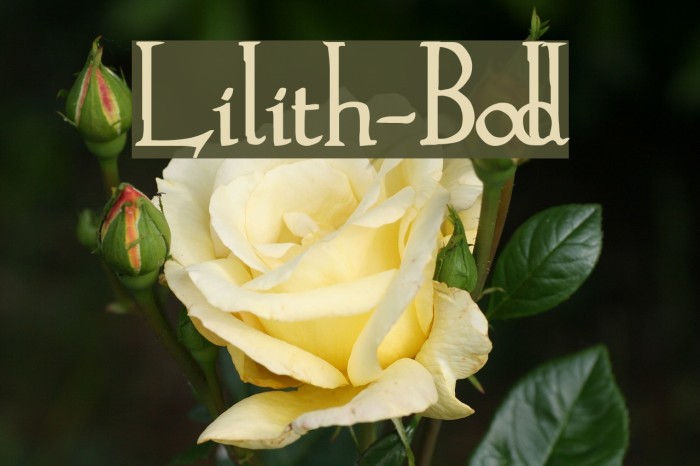 Lilith-Bold Fonte examples