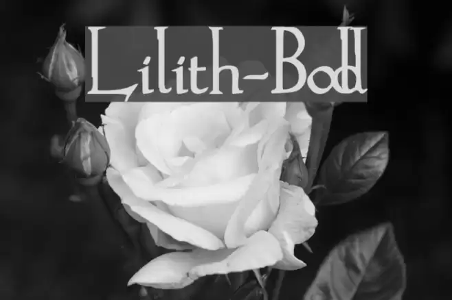 Lilith-Bold Fonte examples