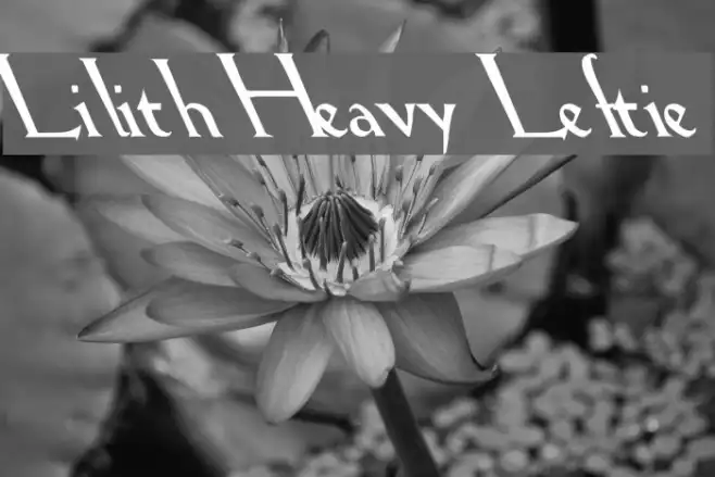 Lilith Heavy Leftie Example 1