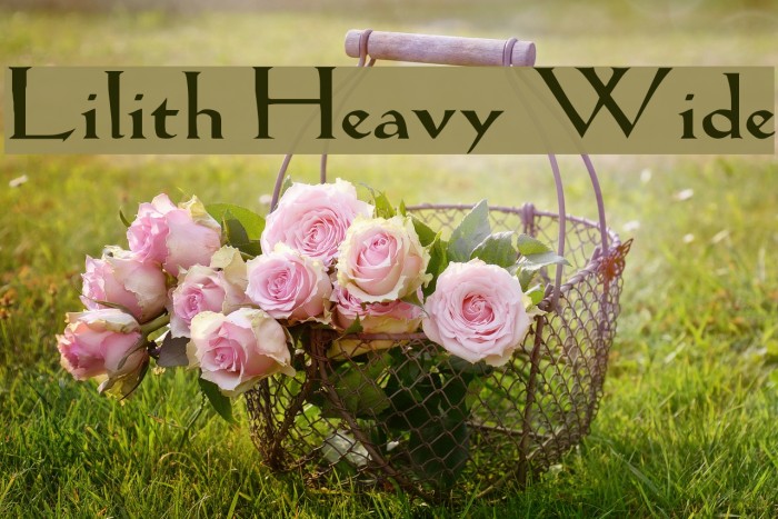 Lilith Heavy Wide Font examples
