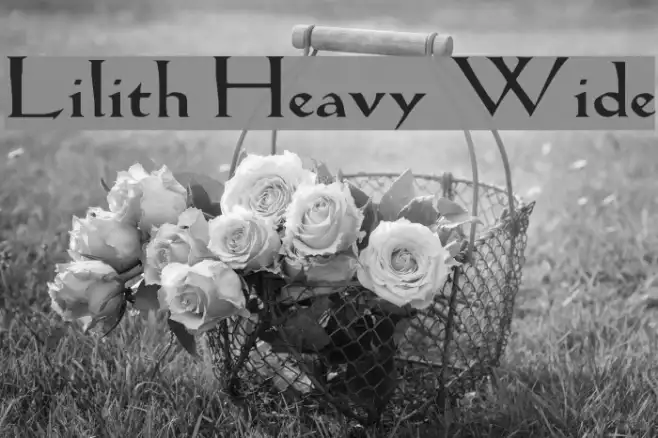 Lilith Heavy Wide Example 2