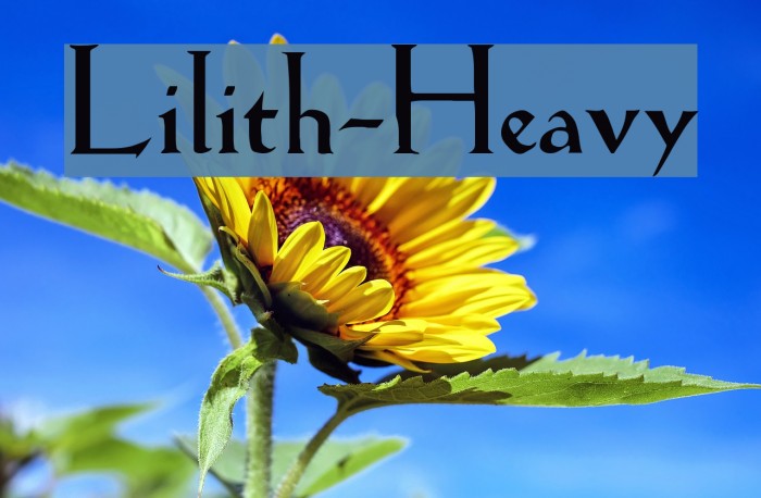 Lilith-Heavy Font examples