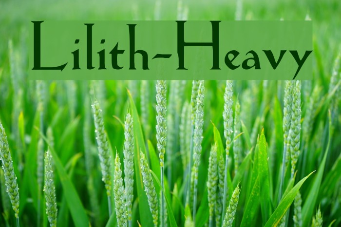 Lilith-Heavy Font examples