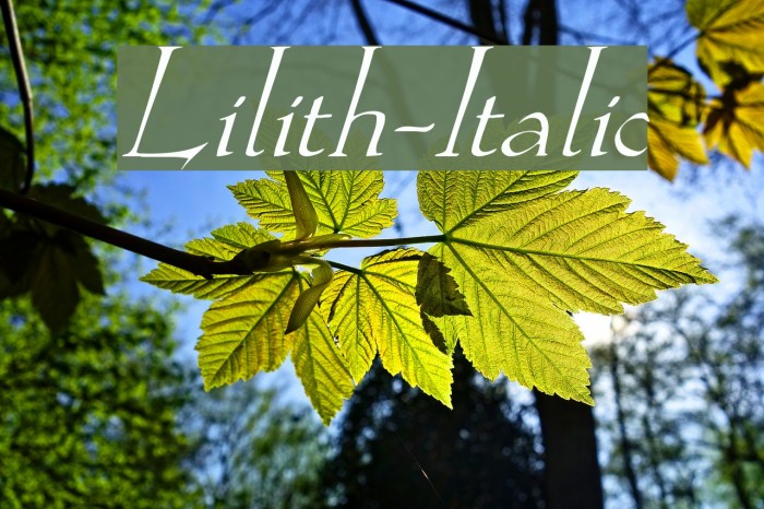 Lilith-Italic Font examples