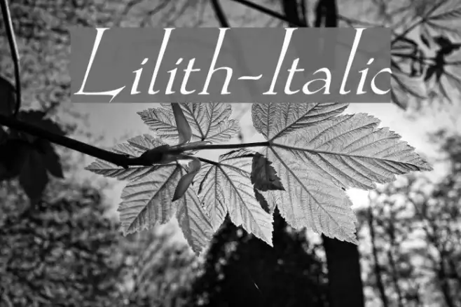 Lilith-Italic Example 1