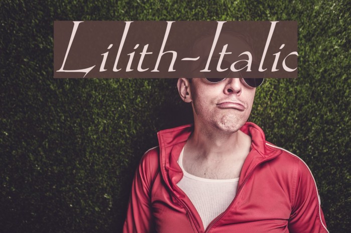 Lilith-Italic Font examples
