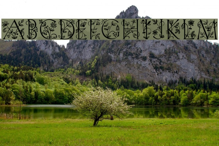 Lilith Plain Font examples