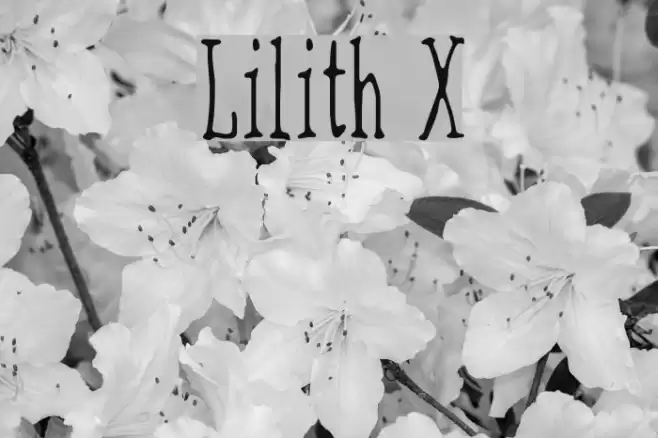 Lilith X Font examples