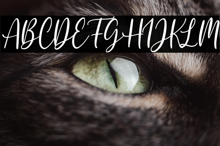 Lilium Star Example 3