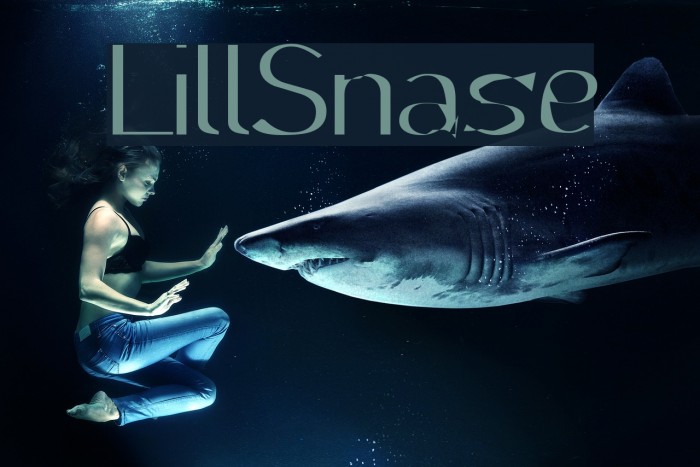 LillSnase Font examples