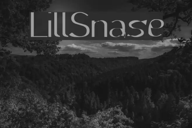 LillSnase Font examples