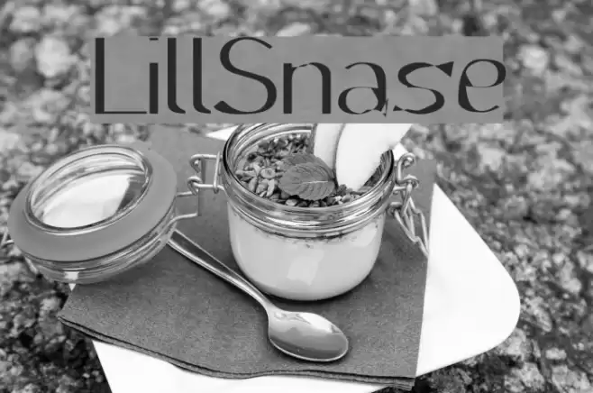 LillSnase Font examples