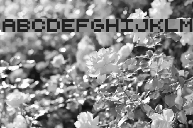 Lilliput Steps Font examples