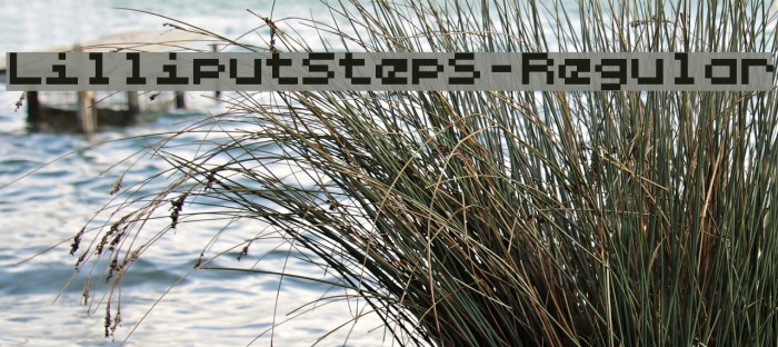 LilliputSteps-Regular Font examples