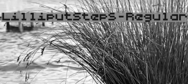 LilliputSteps-Regular Example 3