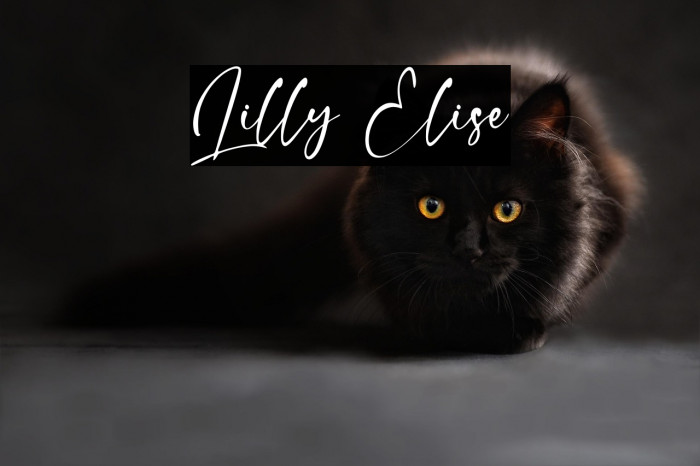 Lilly Elise Example 1