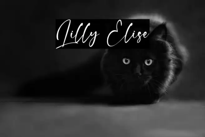 Lilly Elise Example 1
