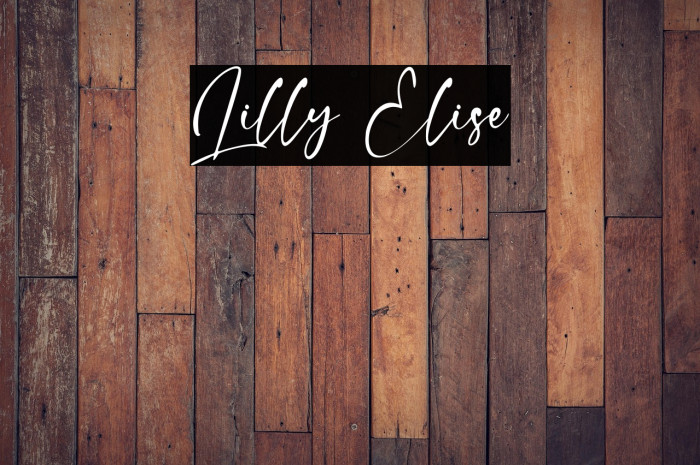 Lilly Elise Example 2