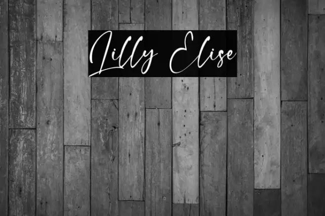Lilly Elise Example 2