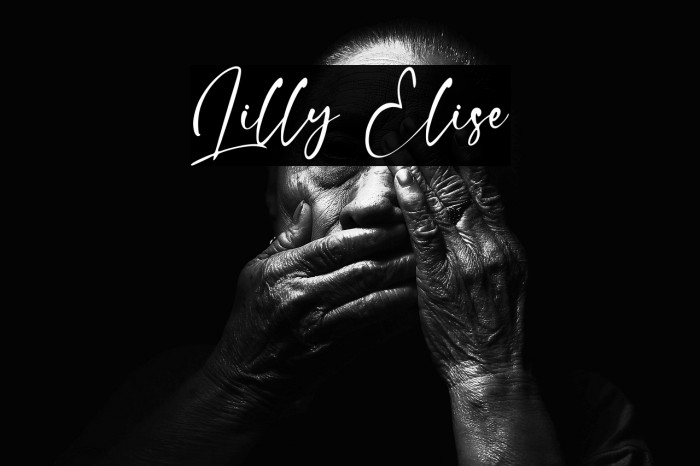 Lilly Elise Example 3