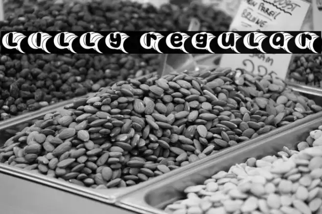 Lilly Regular Font examples