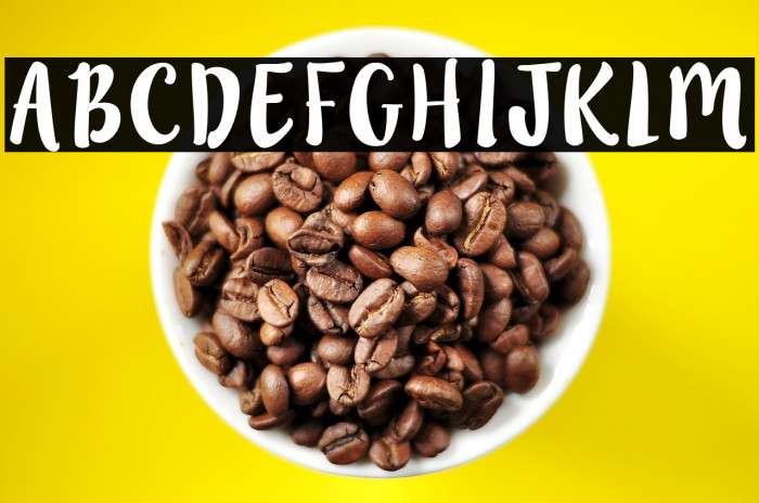 LillyBelle Example 1