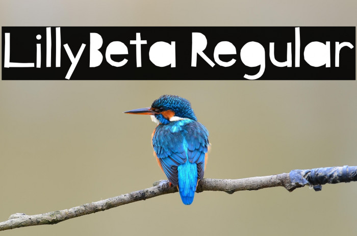 LillyBeta Regular Example 2