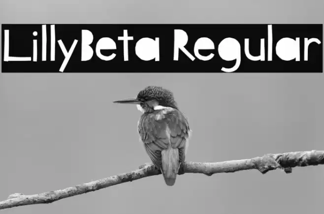 LillyBeta Regular Font examples