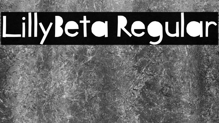 LillyBeta Regular Example 3