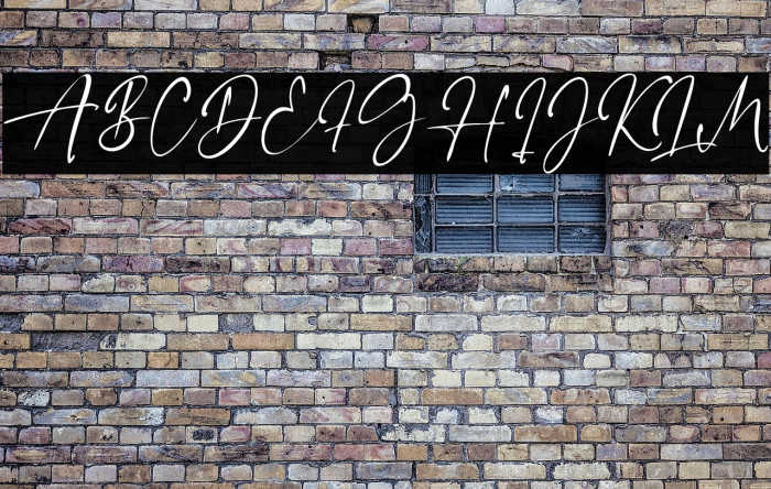 LillyElise Example 1