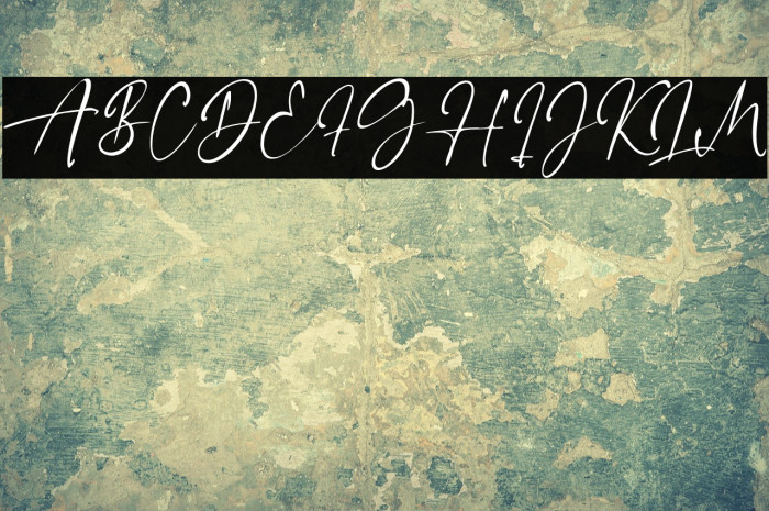 LillyElise Example 3