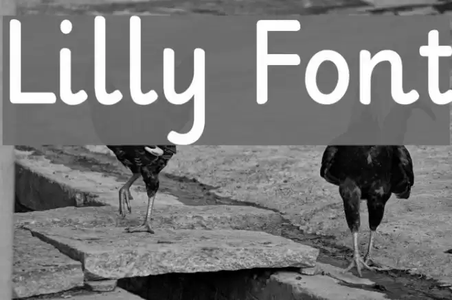 Lilly Font examples