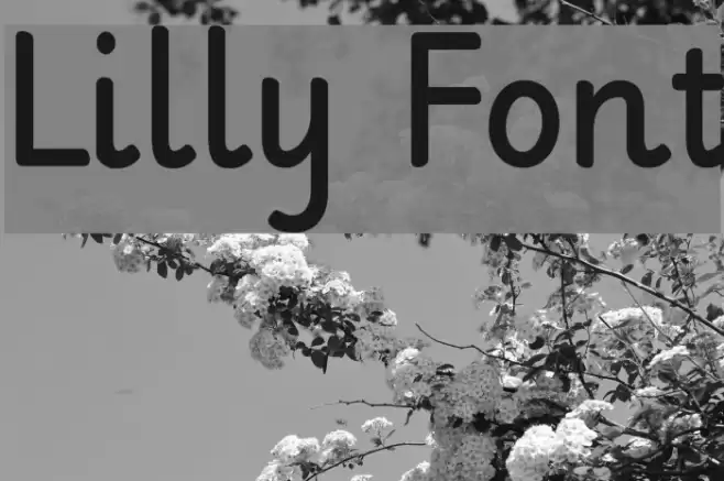 Lilly Font examples
