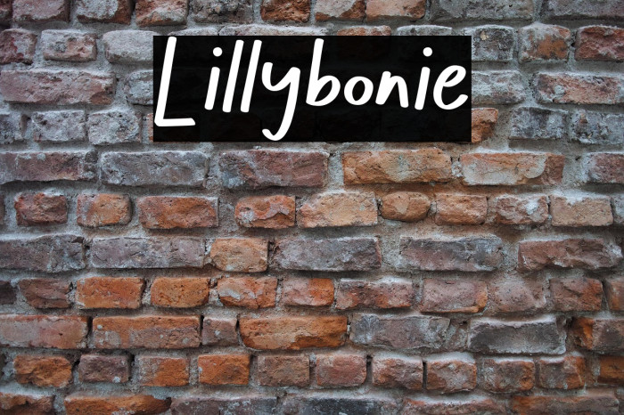 Lillybonie Example 1