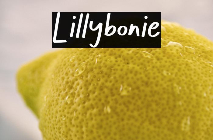Lillybonie Example 3