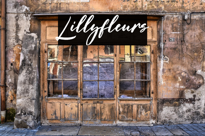 Lillyfleurs Example 1