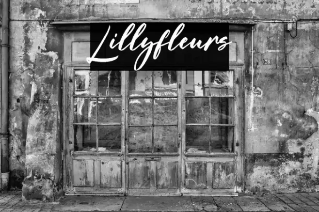 Lillyfleurs Example 1