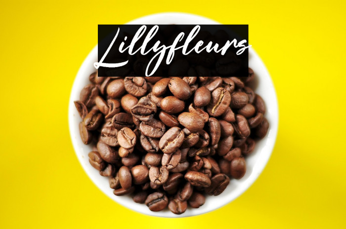 Lillyfleurs Example 2