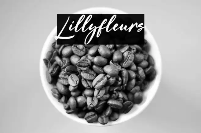 Lillyfleurs Example 2