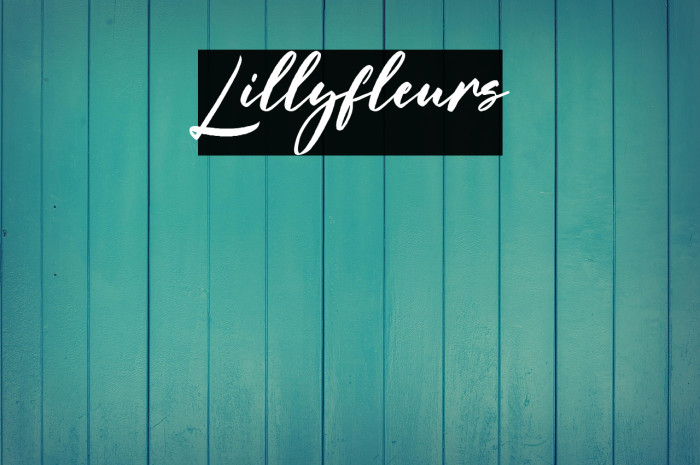 Lillyfleurs Example 3