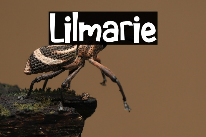 Lilmarie Example 1
