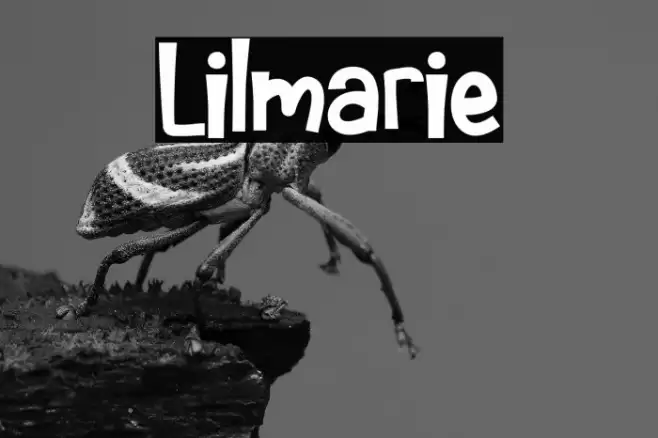 Lilmarie Caratteri examples