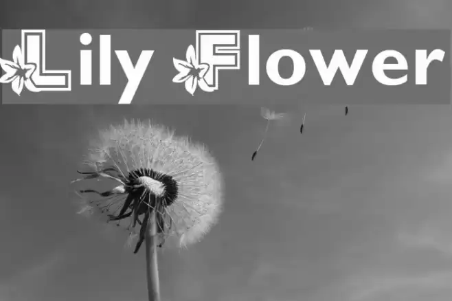 Lily Flower Font examples