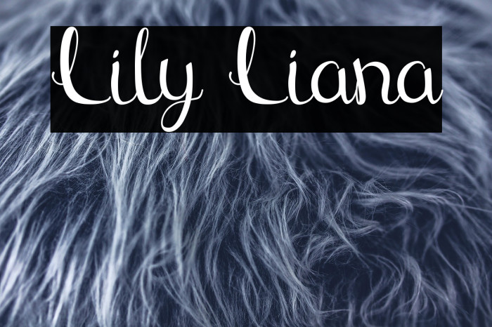 Lily Liana Example 1