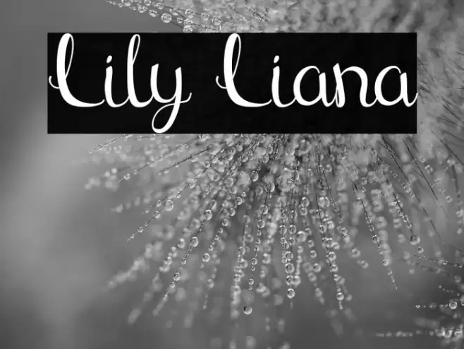 Lily Liana Font examples