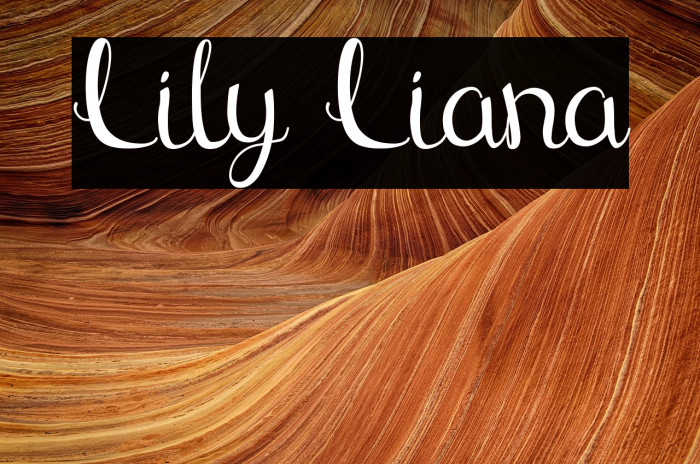 Lily Liana Example 3
